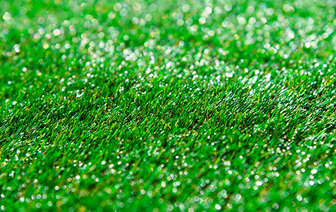 Artificial Grass