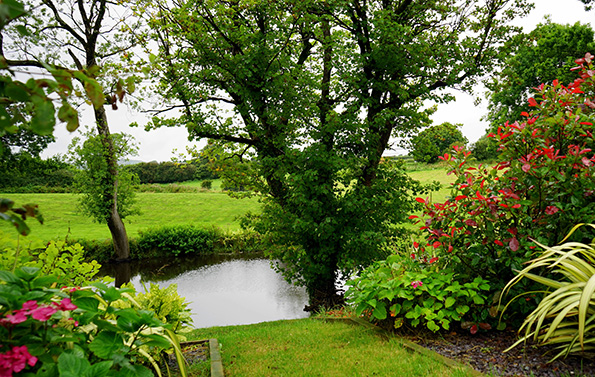 Garden Landscaping in Essex